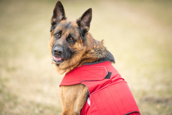 German Shepherd Raincoat With Underbelly Protection Dog Raincoat Waterproof Dog Clothes Custom Made for Your Dog Etsy UK
