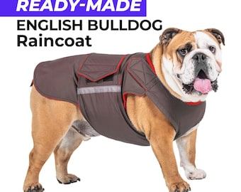 Ready-made English Bulldog Raincoat - English Bulldog Jacket