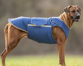 Rhodesian Ridgeback Extra Warm Winter Dog Coat, 3 layers: Waterproof outer, Insulation and Soft Fleece
