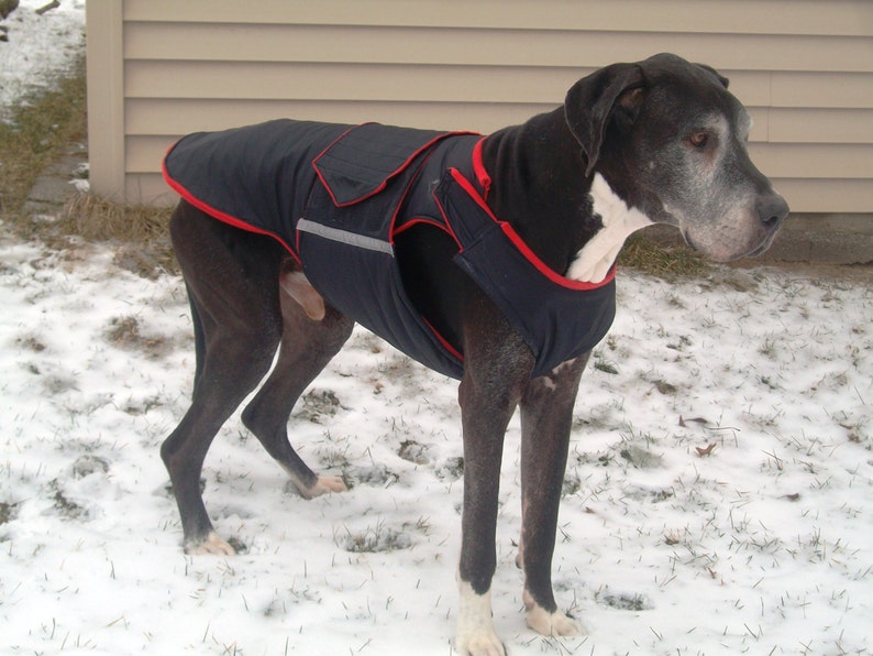 Dog Coat for Great Danes Dog Jacket Custom Made Coat Etsy