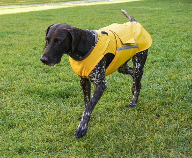 German Pointer Dog Raincoat Dog Jacket Custom Dog Coat Waterproof Dog Clothes Dog Rain Coats Dog clothing MADE TO ORDER image 2