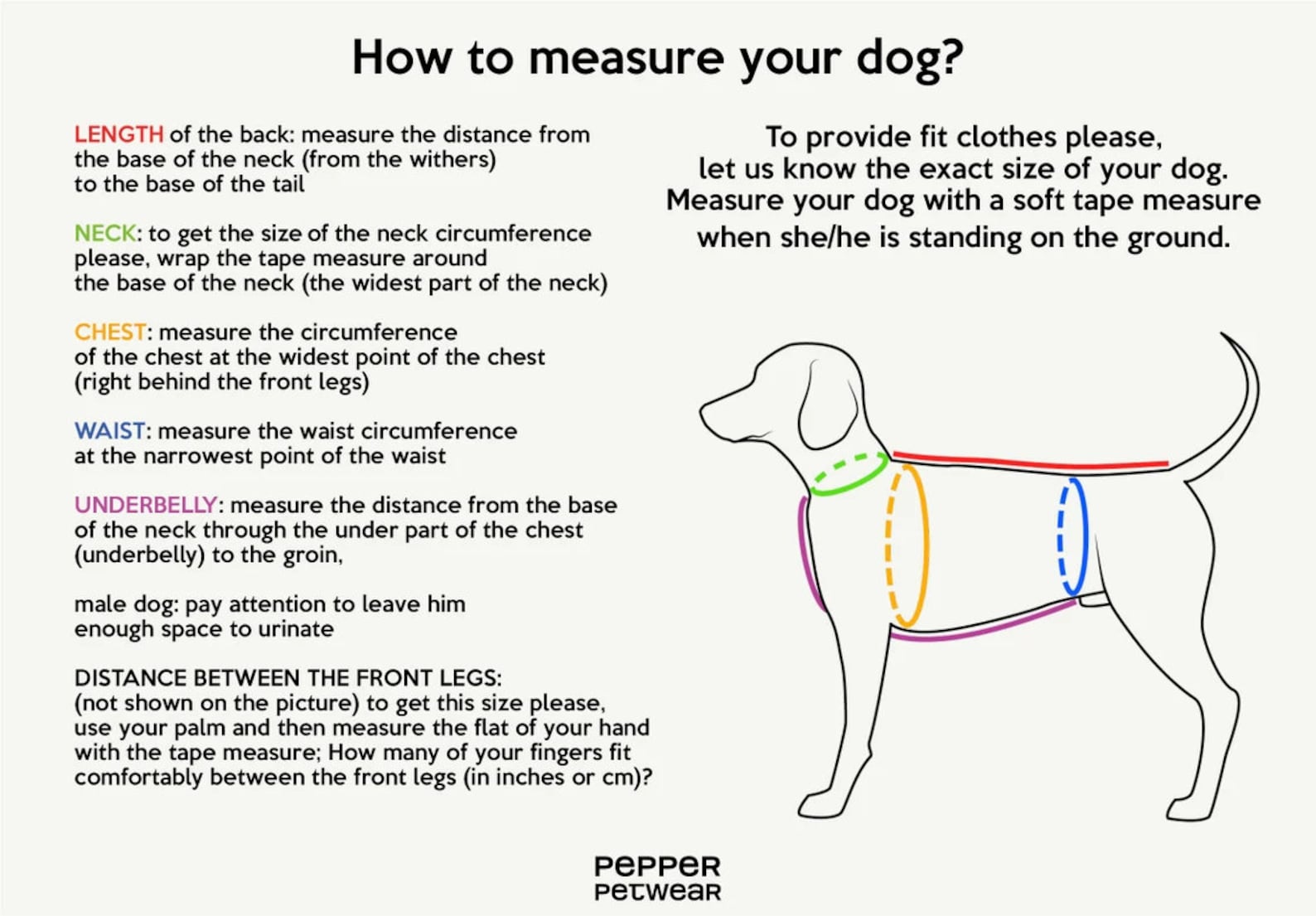 Basset Hound Winter Dog Coat Dog Jacket With Underbelly Etsy