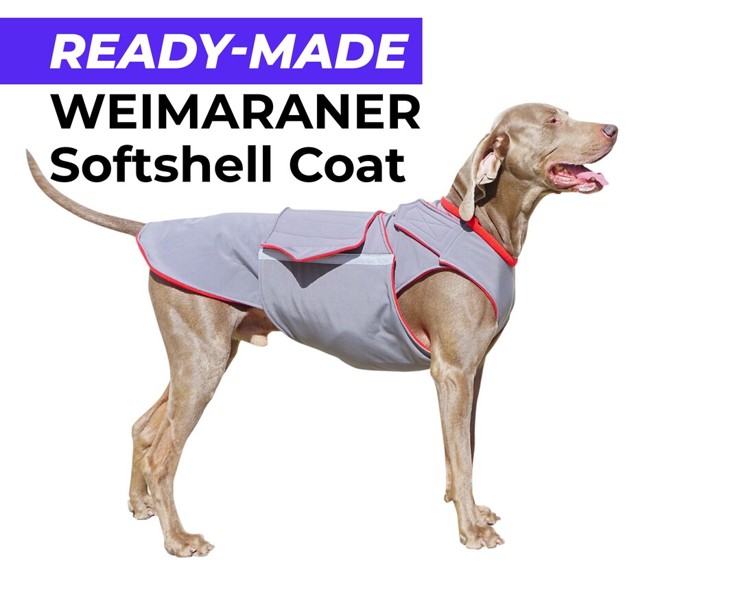 Readymade Weimaraner Softshell Coat Weimaraner Jacket Etsy