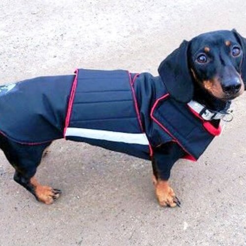 DACHSHUND Dog Rain Coat Raincoat Dog Coat Rain Slicker Etsy Canada