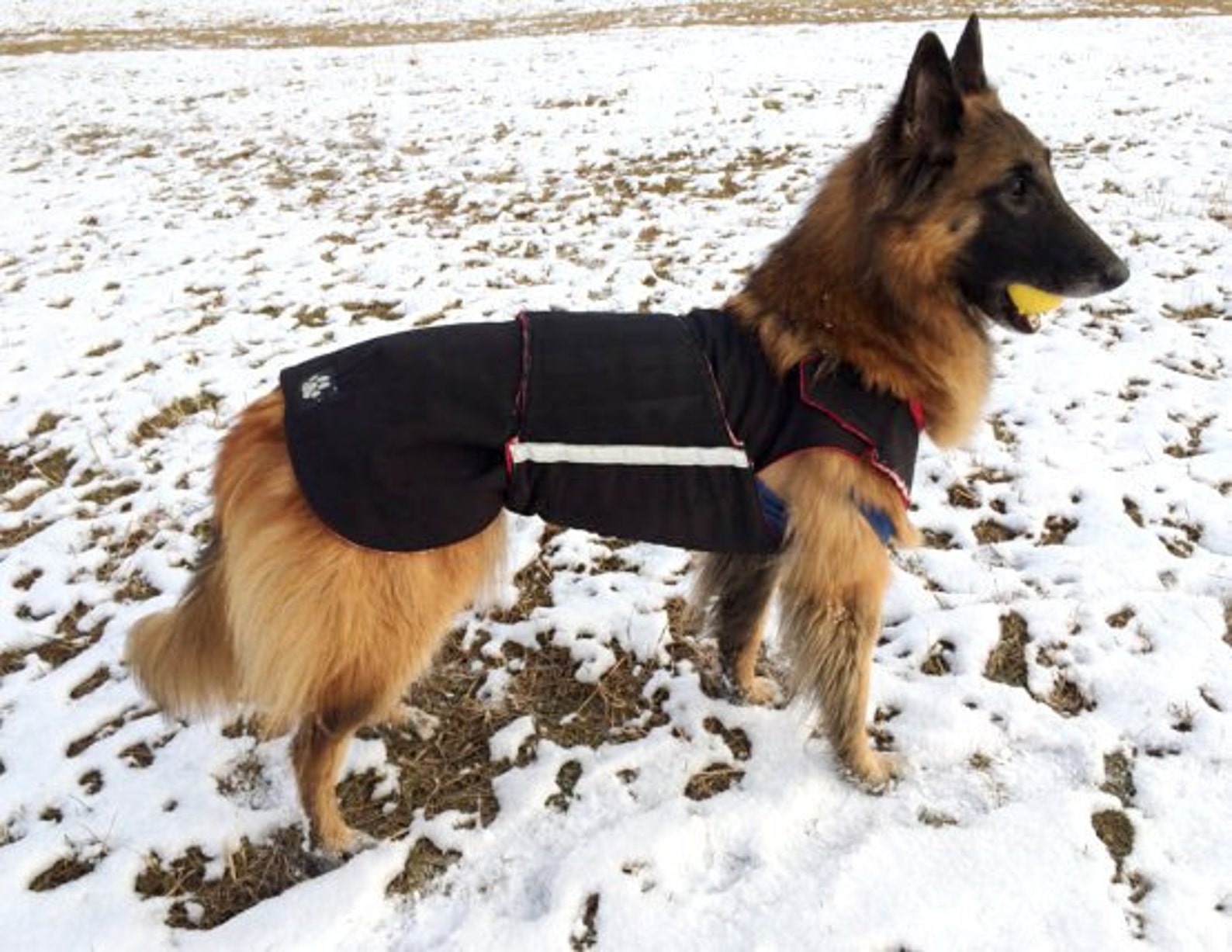 German Shepherd Raincoat With Underbelly Protection Dog Etsy