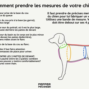 Cappotto per cani bassotto Giacca invernale extra calda per cani con protezione ventre e scaldacollo Esterno impermeabile con pile Realizzato su misura immagine 9