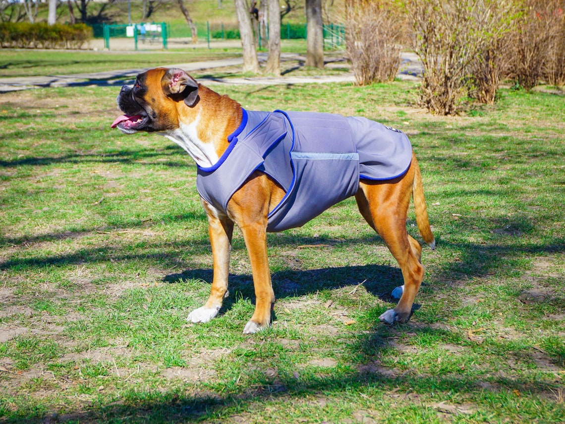 Boxer Winter Dog Coat With Underbelly Protection Dog Jacket Etsy