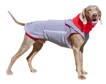 Abrigo para perros Weimaraner SoftShell - Abrigo rojo para perros de invierno - Impermeable para perros personalizado - Abrigo SoftShell / Fleece + cuello de tortuga / snood - HECHO A MEDIDA