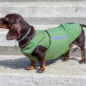 Dachshund Winter Dog Coat with underbelly protection Custom made dog clothes Waterproof / Fleece Dog Jacket MADE TO ORDER image 3