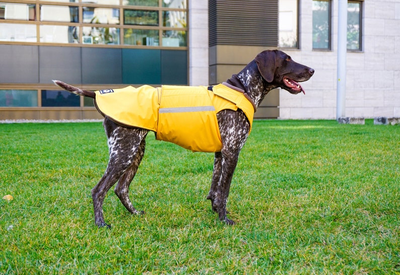 Pointer Winter Hundemantel Hundejacke mit Unterbauchschutz Maßgefertigte Hunde Regenjacke Wasserdicht / Fleece Maßgeschneidert für Ihren Hund Bild 3