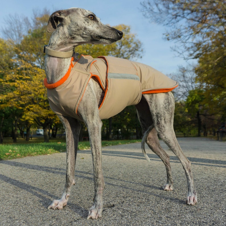 Whippet Extra Warm Winter Dog Coat Dog Jacket with Etsy