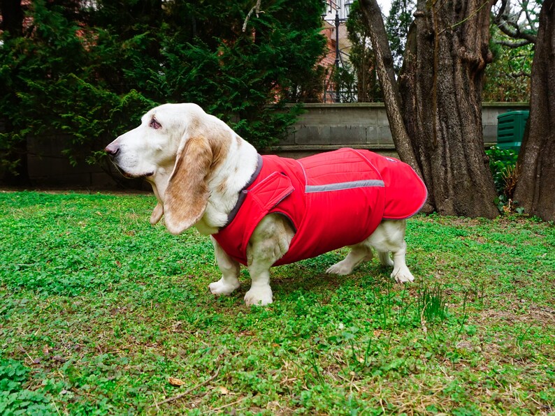 Coats For Basset Hounds
 Basset Hound Extra Warm Winter Dog Coat Dog Jacket Custom Etsy