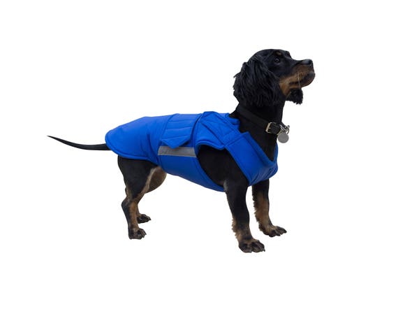 Etsy dog jacket Clearance