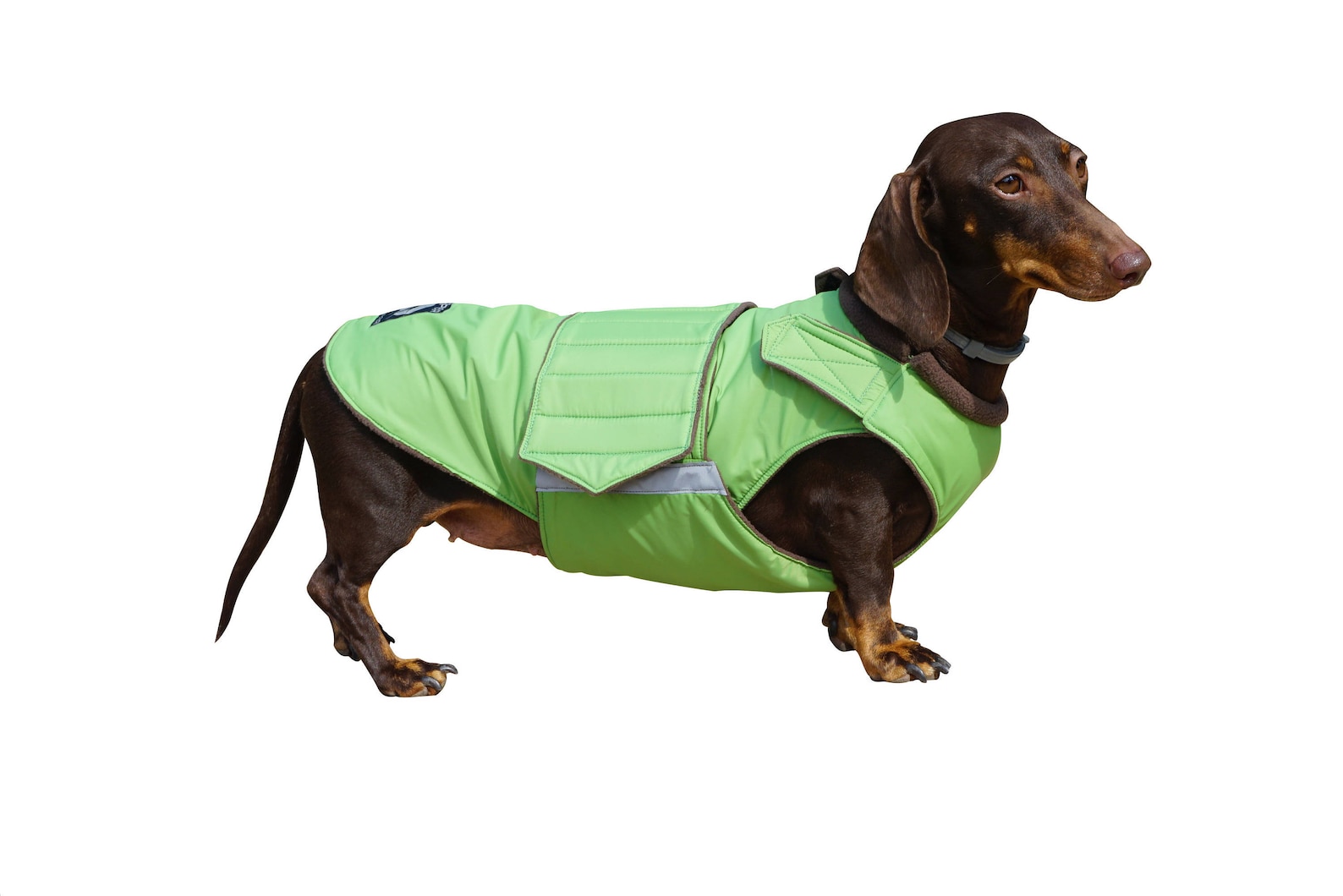 Dog Coat With Underbelly Protection Dachshund Winter Coat Etsy