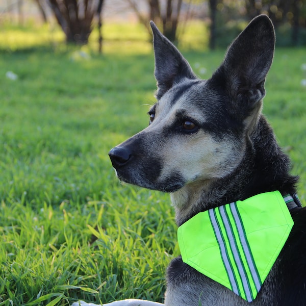 Collier de chien réfléchissant avec bandana haute visibilité