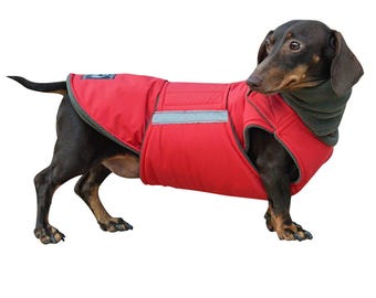 Dachshund Winter Jacket with Belly Cover & Neck Warmer – Made to Order