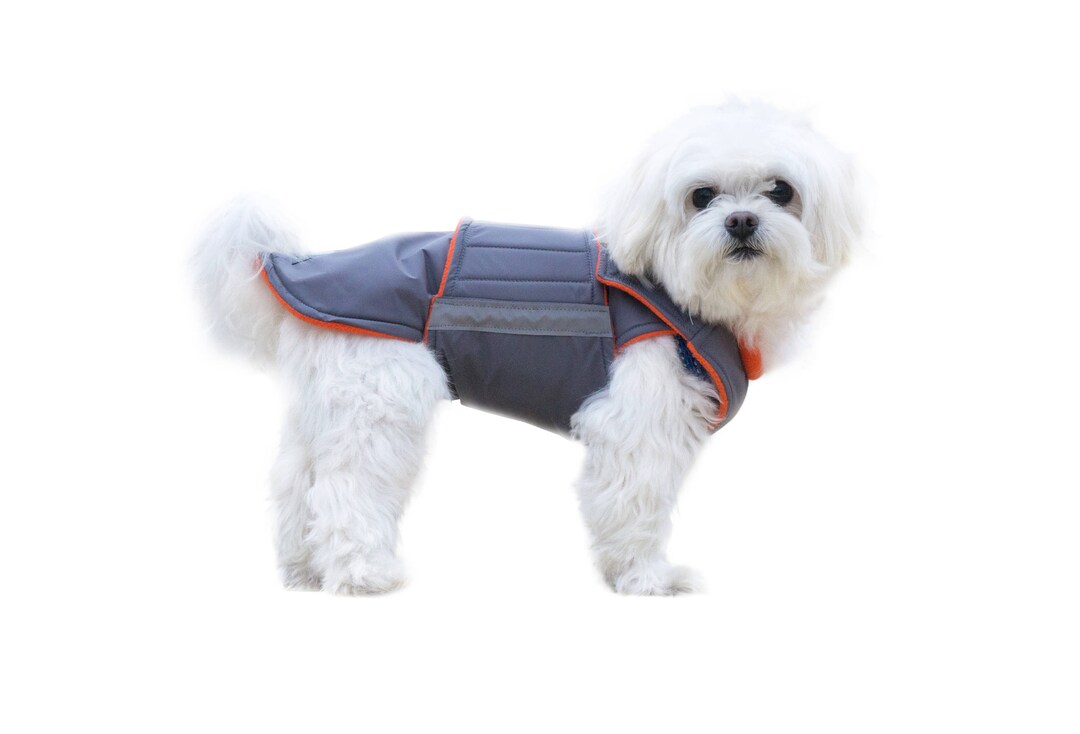 Bichon Dog Coat With Underbelly Protection Custom Made Dog Etsy