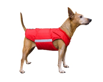 Pinscher Coat - Custom made Dog Raincoat - Dog Jacket - Waterproof / Fleece coat - Dog clothes - Custom made for your dog