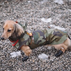 Camo Winter Dog Coat with neck warmer, hood and underbelly protection Waterproof / Fleece dog clothes Custom made for your dog image 4