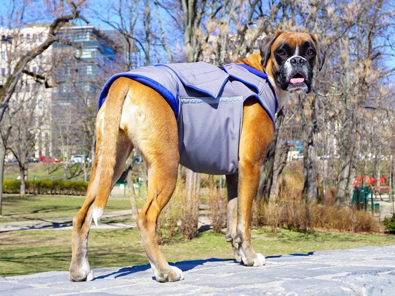 Dog Raincoat for Boxers Rain Dog Jacket With Underbelly Etsy