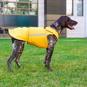 German Pointer Dog Raincoat Dog Jacket Custom Dog Coat Waterproof Dog Clothes Dog Rain Coats Dog clothing MADE TO ORDER image 3