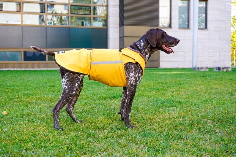 German Pointer Dog Raincoat Dog Jacket Custom Dog Coat Waterproof Dog Clothes Dog Rain Coats Dog clothing MADE TO ORDER image 3