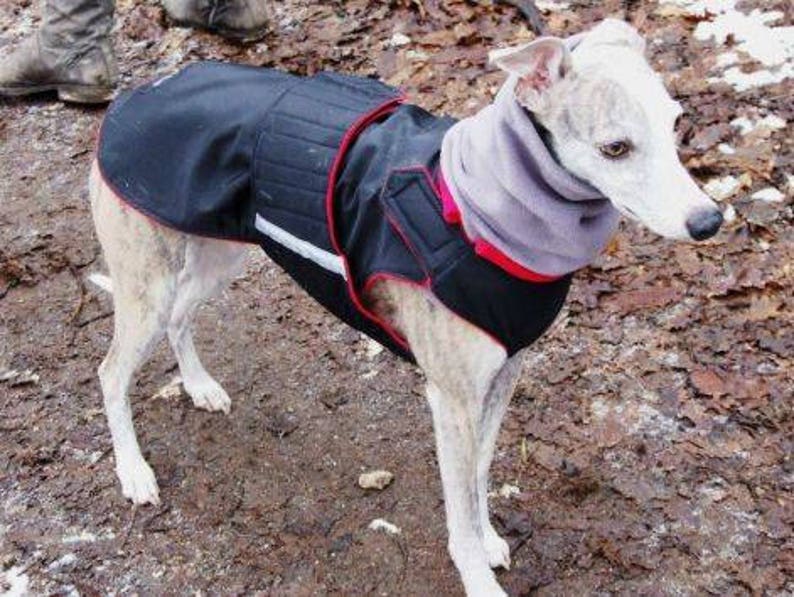 Windhund SoftShell Hund Mantel Winter Hund Jacke Custom Etsy