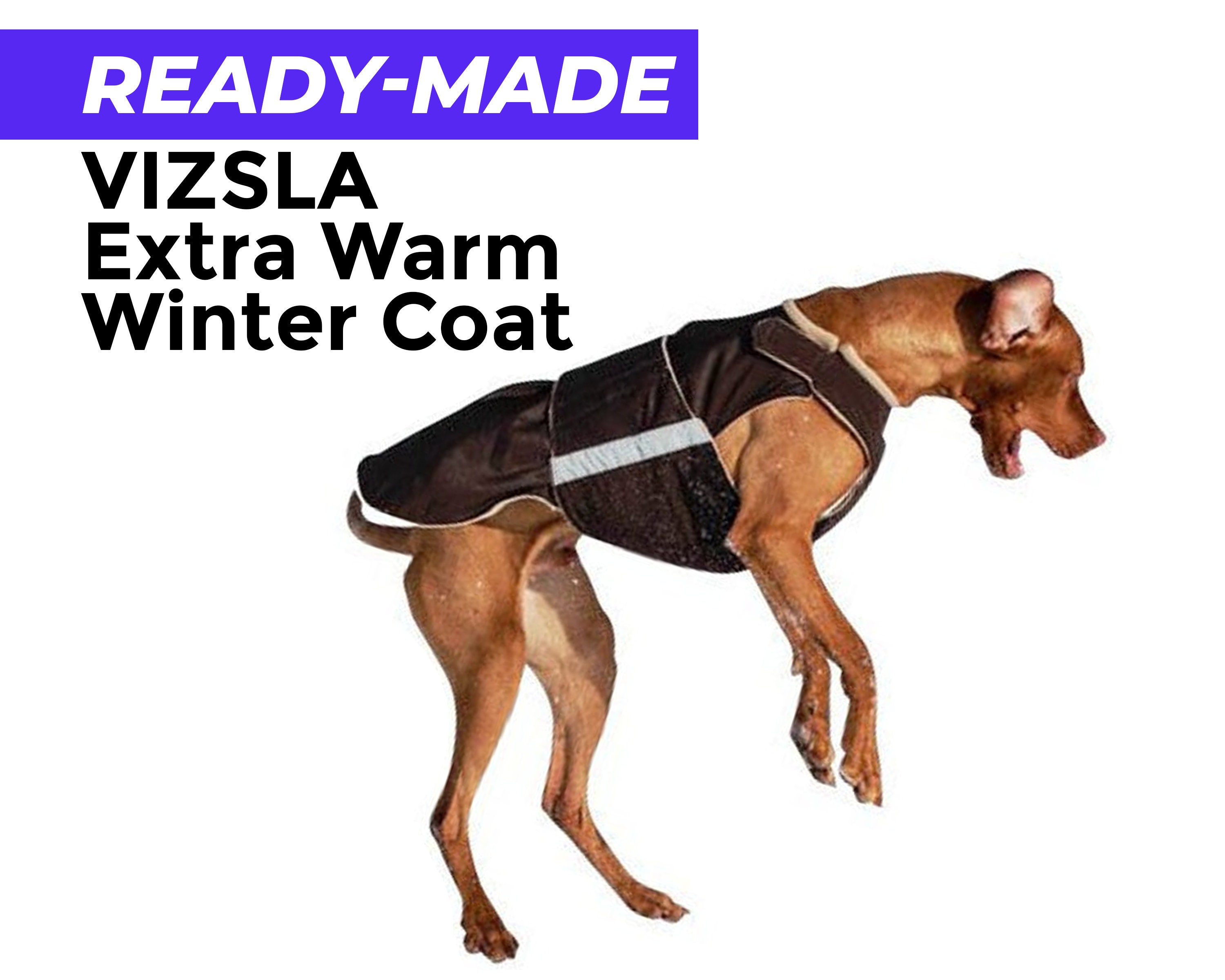 Readymade Vizsla Extra Warm Winter Coat Vizsla Jacket Etsy
