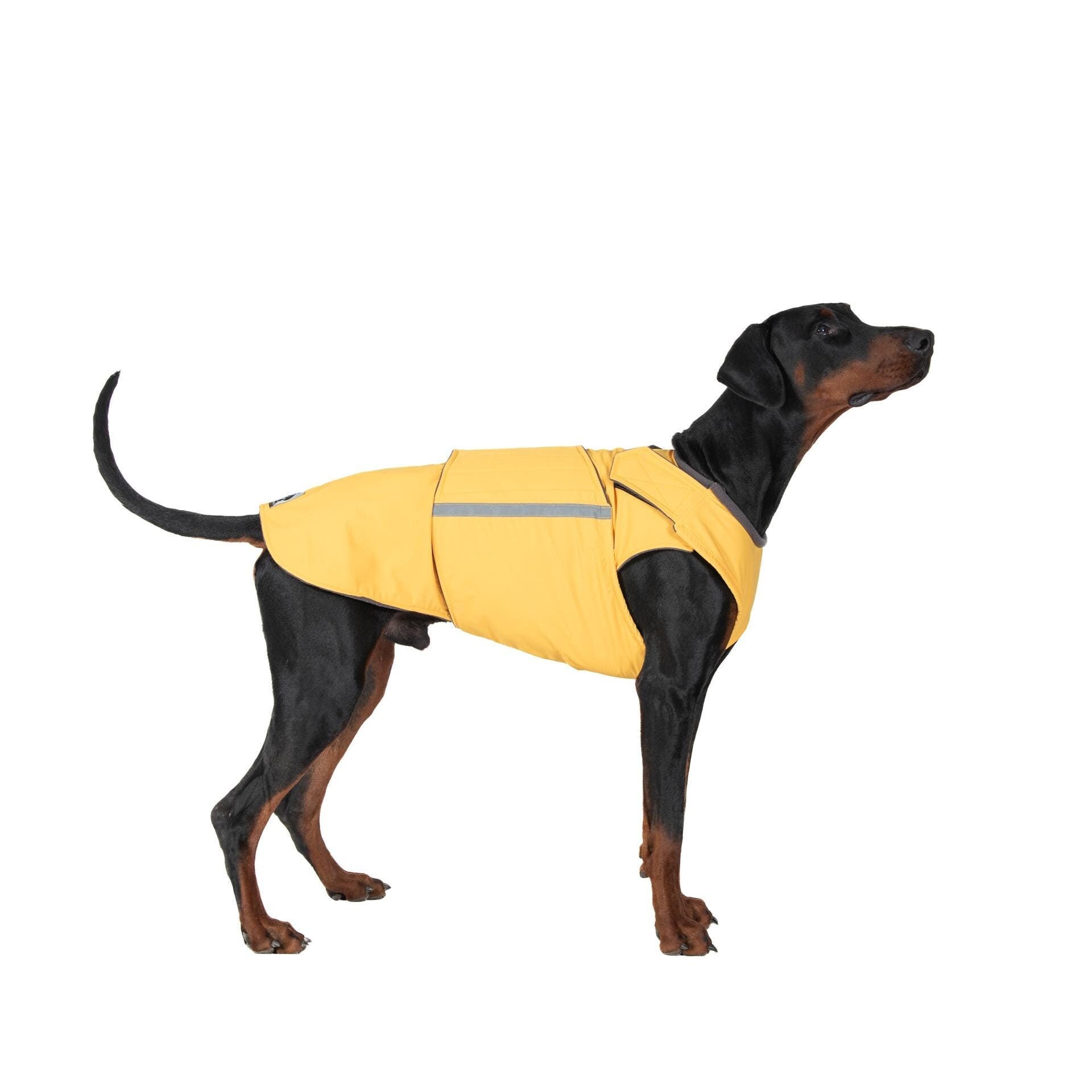 Doberman Raincoat - Etsy