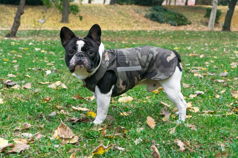 French Bulldog Extra Warm Winter Dog Coat Dog Jacket With Etsy