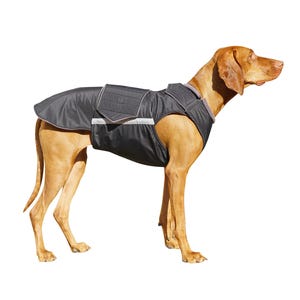 Dog Raincoat for Vizslas - Waterproof, Full belly cover, Custom made