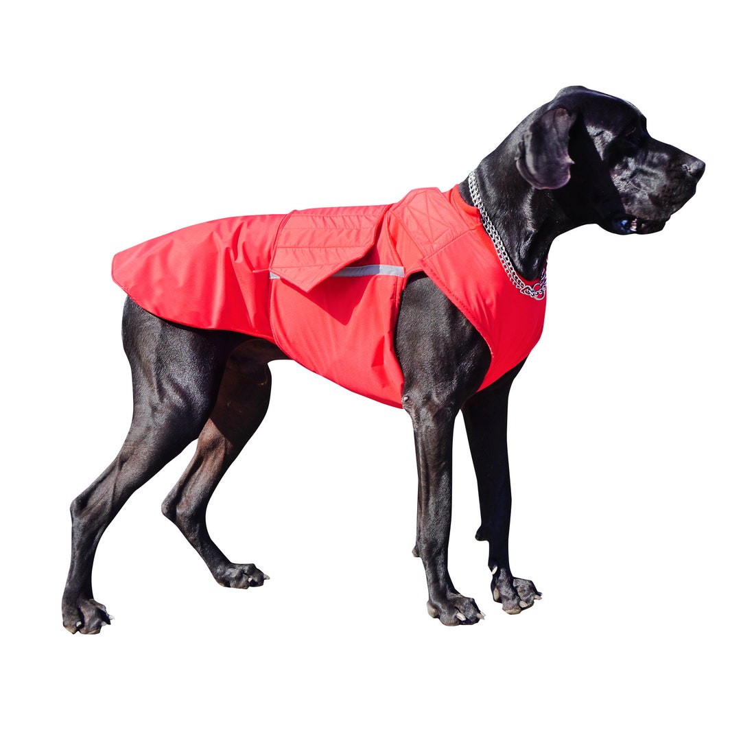 Great Dane Winter Dog Coat Dog Jacket With Underbelly Protection Custom