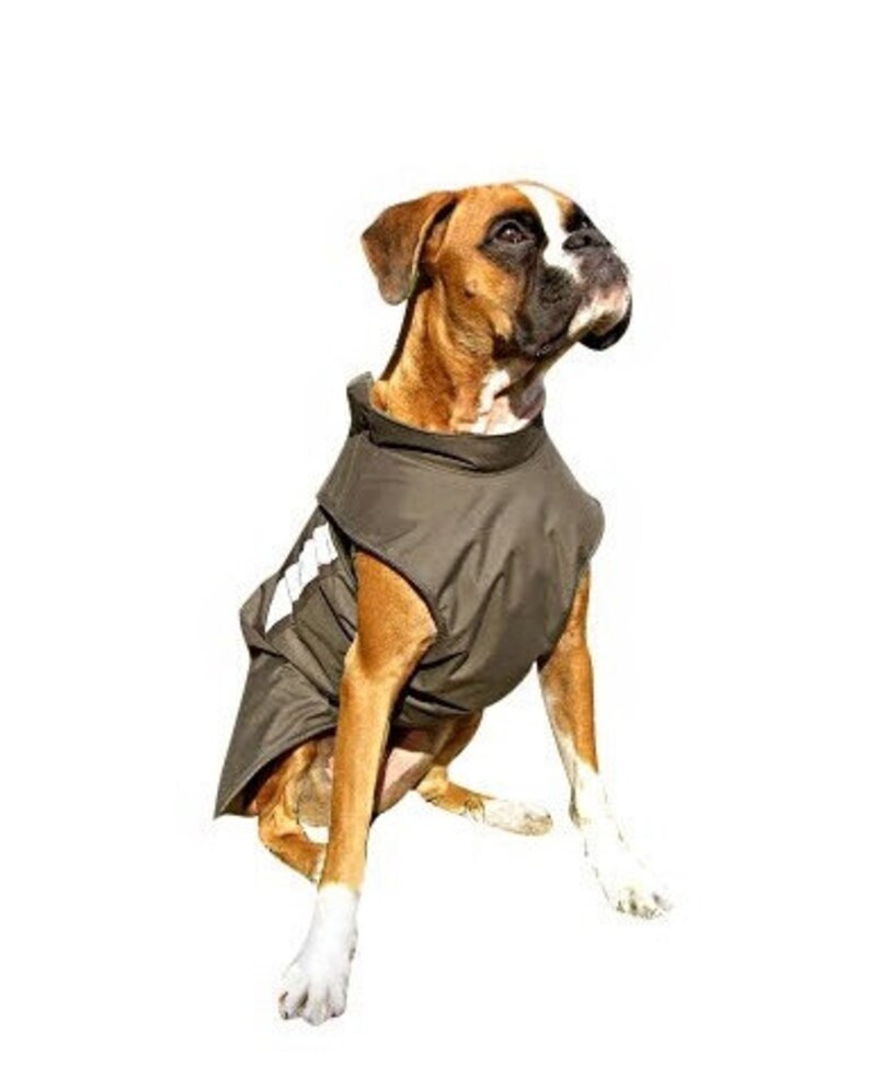 Boxer Extra Warm Winter Dog Coat Large Dog Jacket Custom Etsy
