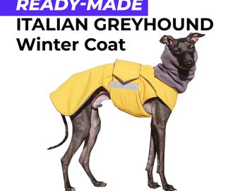Ready-made Italian Greyhound Winter Coat with Neck Warmer, Waterproof, Warm, Full Belly Cover