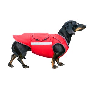 Dachshund Extra Warm Winter Dog Coat - Gray Dog Jacket with underbelly protection - Custom Dog Coat - Waterproof / Fleece - Custom made