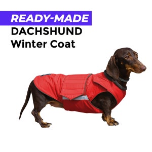 Ready-made Dachshund Winter Coat - Dachshund Jacket - Waterproof outer with fleece lining