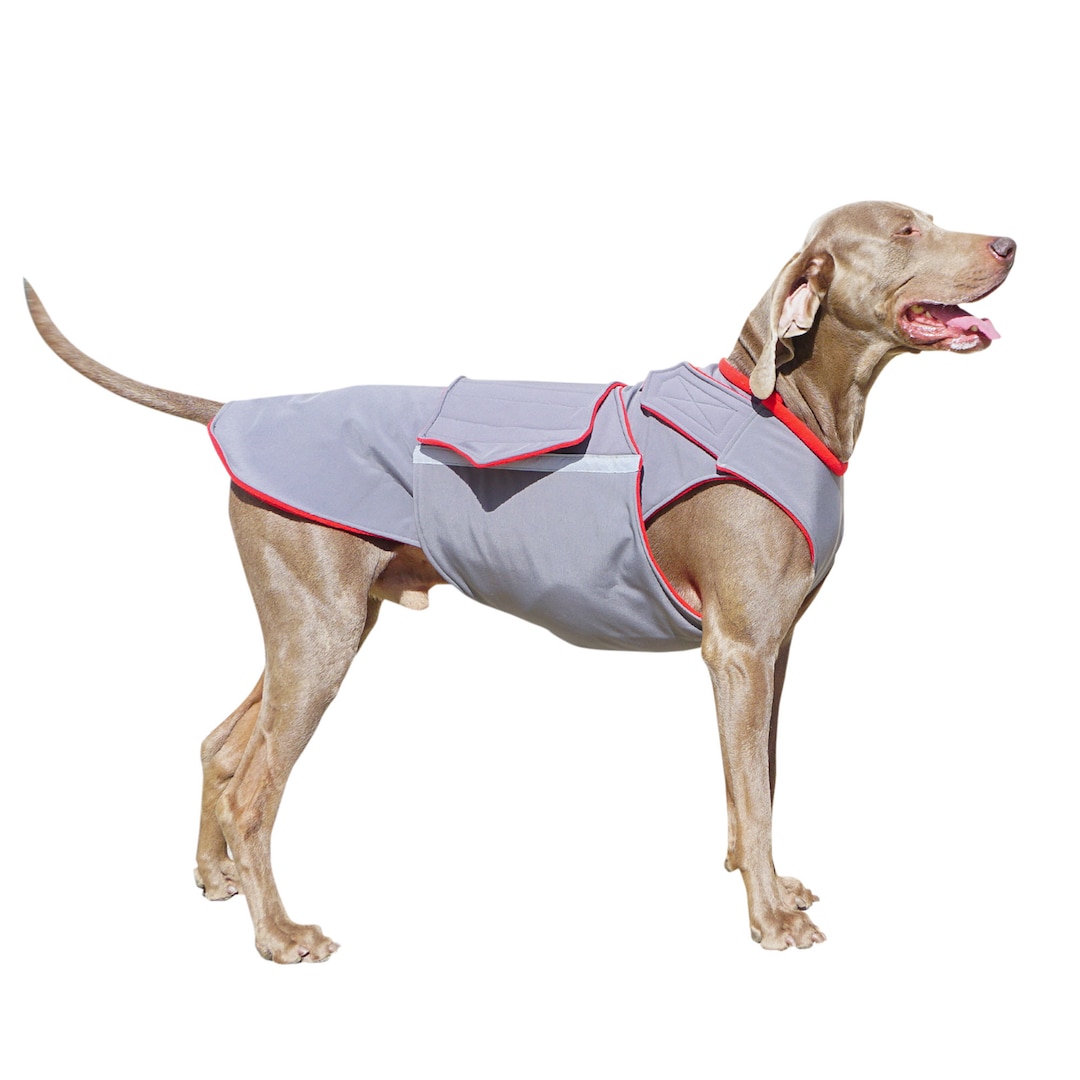 Weimaraner Softshell Dog Coat Brown Winter Dog Coat Custom Dog Raincoat