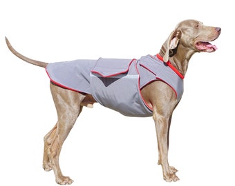 Weimaraner SoftShell Dog Coat - Brown Winter Dog Coat - Custom Dog Raincoat - SoftShell / Fleece coat - MADE TO MEASURE