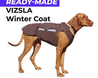 Cappotto invernale pronto per Vizsla