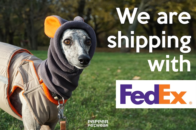 Down coat for dog Clearance