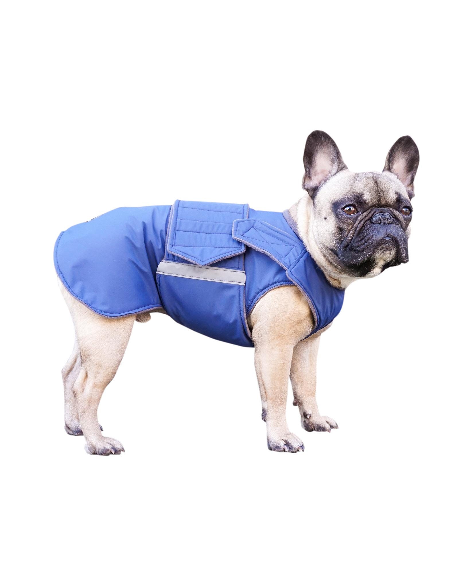 French Bulldog Winter Coat With Underbelly Protection – Waterproof
