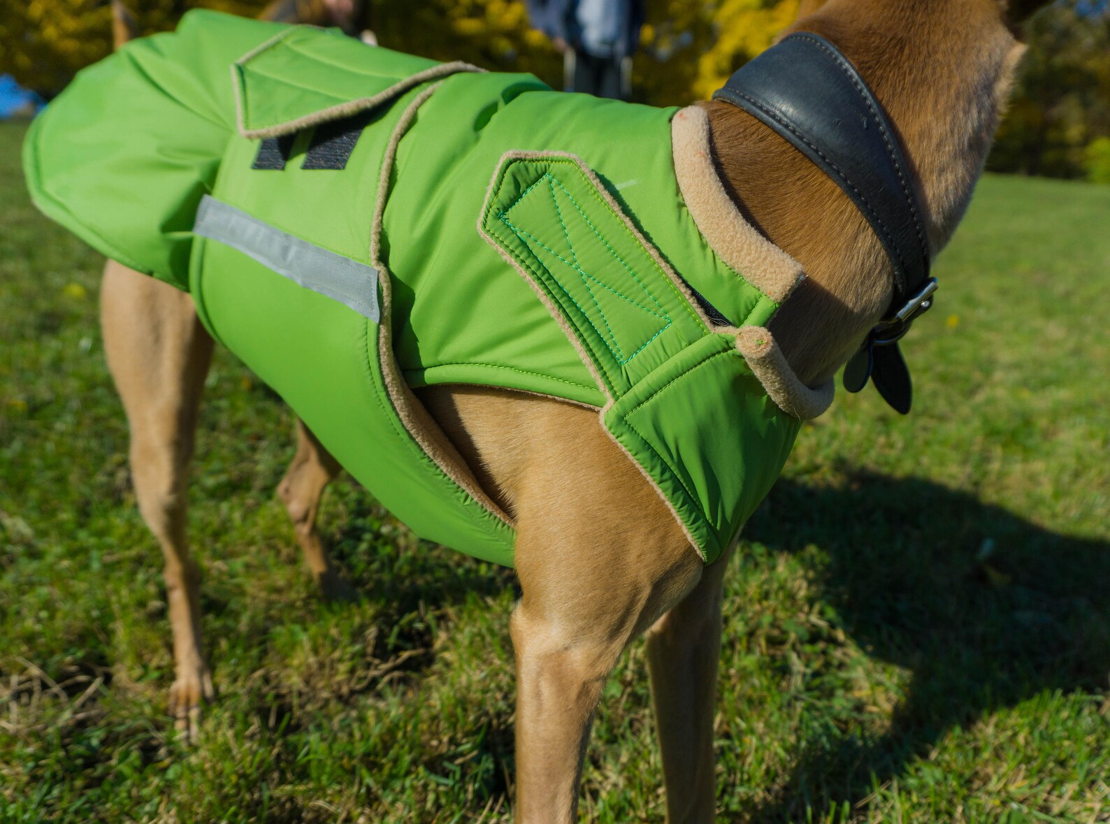 Greyhound Dog Coat Extra Warm Winter Dog Jacket Custom Dog Etsy