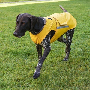 Pointer Winter Hundemantel Hundejacke mit Unterbauchschutz Maßgefertigte Hunde Regenjacke Wasserdicht / Fleece Maßgeschneidert für Ihren Hund Bild 2