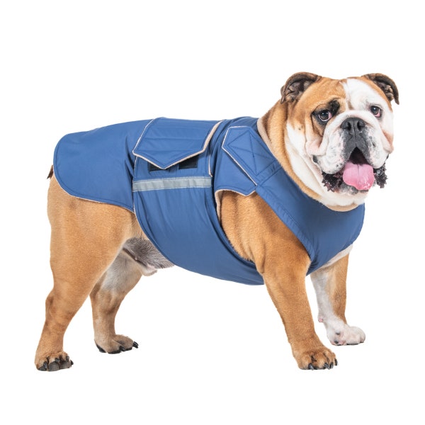 Manteau d'hiver pour chien bouledogue anglais - veste pour chien avec couvre-ventre complet - manteau d'hiver imperméable - veste bouledogue - sur mesure pour votre chien