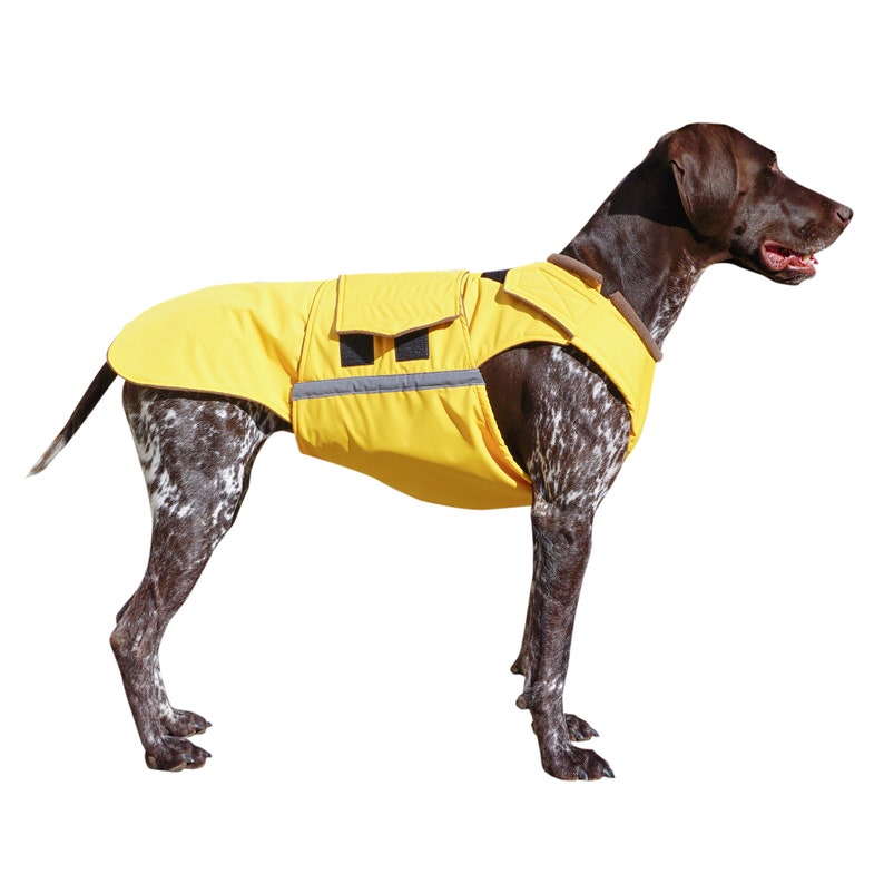 German Pointer Dog Raincoat Dog Jacket Custom Dog Coat Waterproof Dog Clothes Dog Rain Coats Dog clothing MADE TO ORDER image 1
