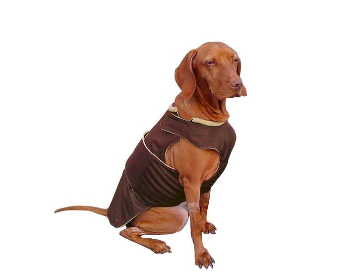 fleece jacket for vizsla
