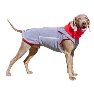 Weimaraner Softshell Jacket – Fleece Lined with Snood