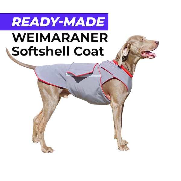 Weimaraner Jacket Etsy