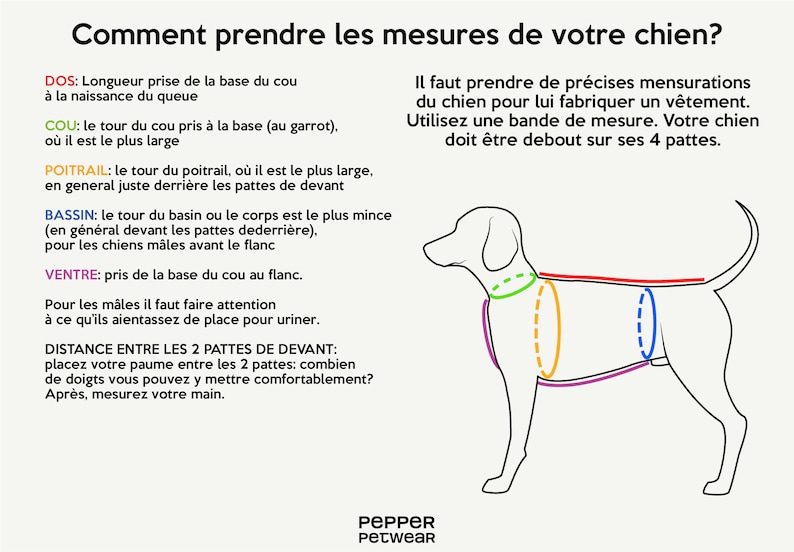 Basset Hound Raincoat Dog Jacket With Underbelly Protection Etsy