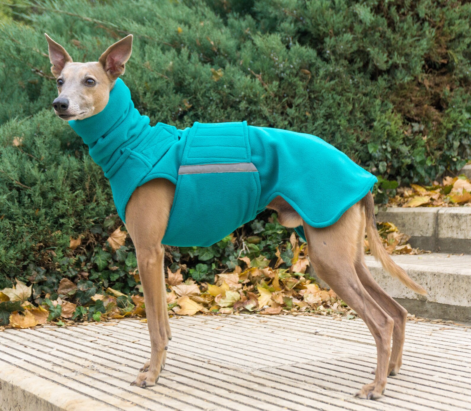 Fleece Dog Coat for Greyhounds and Whippets Dog Sweater Etsy
